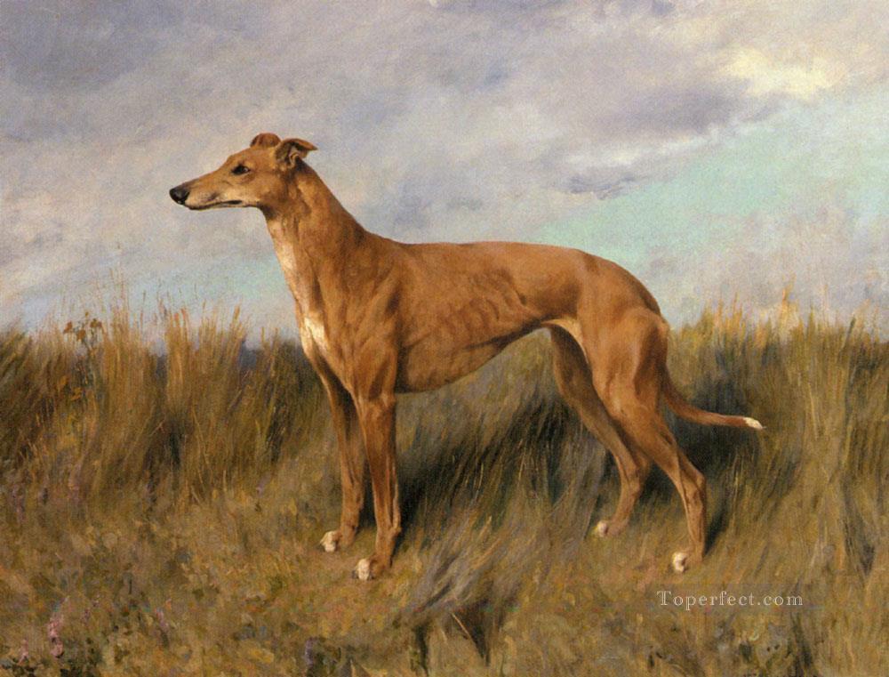 Henrietta Horn A Greyhound Arthur Wardle dog Oil Paintings